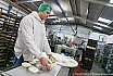 Lewis Pies - Swansea