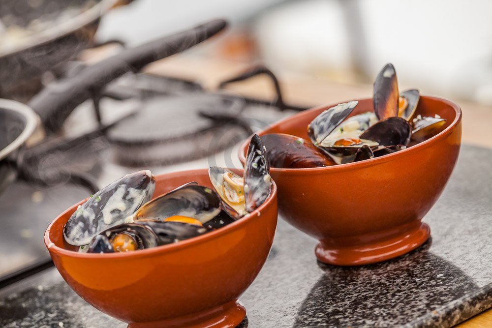 Fish Festival Event